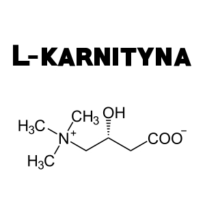 L-Karnityna
